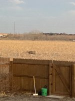 IMG_7402.jpeg