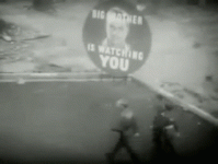 giphy-1361254627.gif