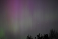 DSC_7023.JPG