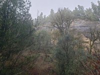 20250201_120542.jpg