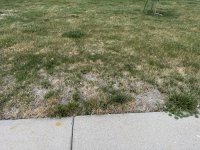 IMG_2878.JPG