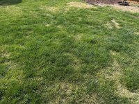 IMG_2884.JPG