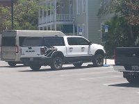 IMG_20250520_141254023.jpg