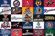 minor-league-baseball-tend-to-have-some-interesting-names-v0-adenu71krd6g1.webp