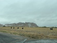 IMG_7094.jpeg