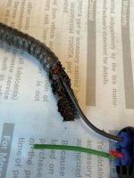 IMG_1086.jpeg