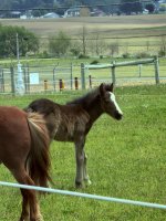 IMG_1364.jpeg