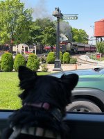 IMG_1253.jpeg
