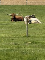 IMG_1221.jpeg